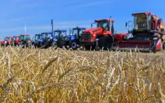 Заплатили миллионы, но зерно так и не получили: суд вынес решение