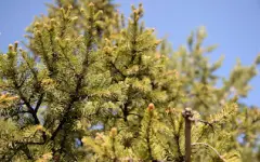 Около миллиона человек приняли участие в акции «Таза Қазақстан»