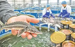 Отрасль требует системных мер