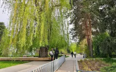 Почему ботсад Алматы будет закрыт 4 мая