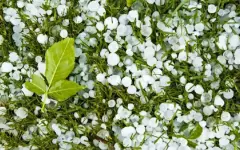 Дождь с градом пройдет на северо-западе Казахстана