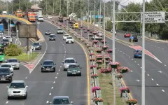 Водителей начнут оценивать по баллам за нарушения ПДД в Казахстане