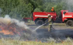 Лесные службы переведены в режим повышенной готовности