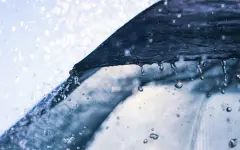 Заморозки, дождь и град: в каких регионах Казахстана объявили штормовое предупреждение