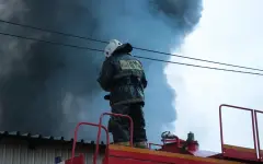 Картонный завод вспыхнул в Алматинской области