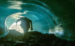 На Аляске спустя 40 тысяч лет ожили существа ледникового периода