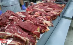 Конина из Казахстана может появиться на рынке Японии