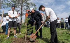 Выпускники школ Усть-Каменогорска высадили почти 2,5 тысячи саженцев