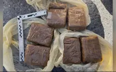 Три килограмма гашиша изъяла полиция в Жамбылской области