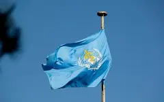 В ВОЗ раскрыли текущие риски для населения после вспышки хантавируса