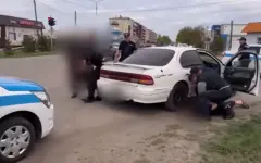 Ликвидирована группа скотокрадов в СКО