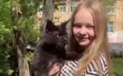 Добрые новости: испугавшегося улицы кота спасли в Сарани