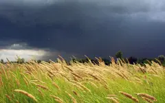 Заморозки, грозы и шквалы: штормовые предупреждения объявлены в большинстве регионов Казахстана