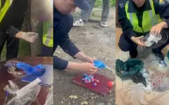 Канал сбыта наркотиков ликвидирован в Алматы