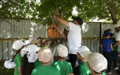 «Таза Қазақстан»: в Актобе школьникам прививают культуру бережного отношения к природе