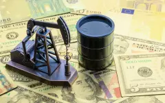 Турецкая нефтяная компания выйдет на рынок Казахстана
