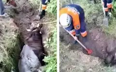Спасателям Тараза пришлось действовать в нестандартных условиях
