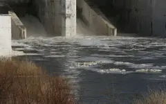 Жажда эффективности