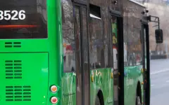Автобус насмерть сбил мать двоих детей на пешеходном переходе в Талдыкоргане