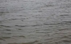 Лодочник едва не утонул на Самаркандском водохранилище в Темиртау