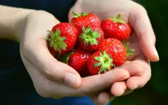 Гороскоп на 19 мая: день для спокойных решений