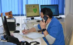 Куда обращаться при укусе клеща: в Алматы заработала горячая линия