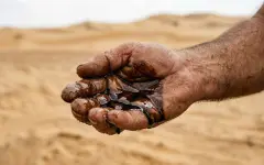 Крупное месторождение нефти обнаружили в Египте
