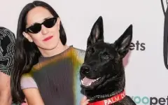Собака из приюта получила приз Каннского кинофестиваля