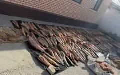 Более 4 тонн незаконной рыбы изъяли в Атырауской области