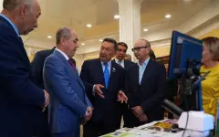 Партия Ауыл провела международный фестиваль по овцеводству