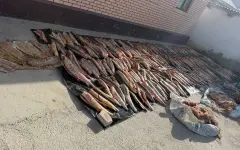 Более 4 тонн рыбной продукции изъяли полицейские в Атырауской области