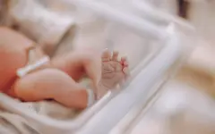 Девушка родила в туалете больницы и бросила ребенка собакам