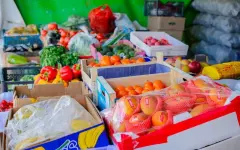 Сельскохозяйственная ярмарка пройдет в Астане