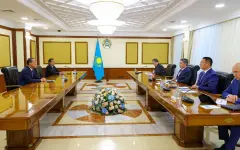 Строительство павлодарского промышленного парка обсудили с инвестором в Кабмине