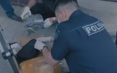 Под Алматы накрыли наркоцех с мефедроном: организатору грозит пожизненное