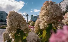 Синоптики рассказали, когда после жары в Астане пройдут дожди