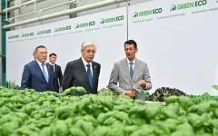 Президенту показали крупный тепличный комплекс