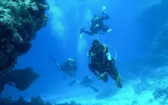 Первые корабли настоящих пиратов Карибского моря нашли на Багамских островах