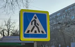 Поход в магазин за мороженым закончился трагедией в многодетной семье на юге Казахстана