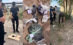 Наркокурьер с 287 закладками задержан в Карагандинской области