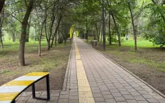Необычную аллею открыли в Алматы