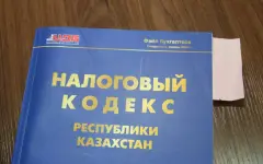 Налоговые системы Казахстана и Узбекистана сравнил известный экономист