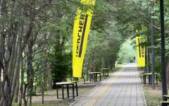 В Алматы открыли аллею скамеек из переработанного пластика