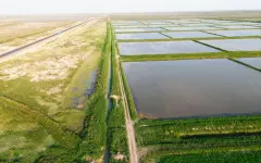В Казахстане оцифровали распределение поливной воды