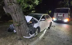 Пострадали трое: водитель Geely вылетел на тротуар и врезался в дерево в Алматы