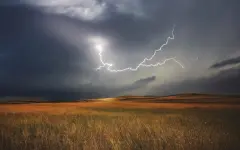 Дожди и грозы пройдут на западе и юге Казахстана
