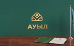 Поддержка молодежи и ветеранов: эксперты отметили системный подход партии Ауыл