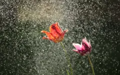 Пыльные бури, дожди и жара до +37°C: штормовое предупреждение объявили по Казахстану