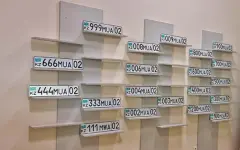 Казахстанские компании теперь могут купить «красивые» госномера на авто через eGov