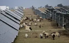 Солнечные электростанции в Тибете неожиданно повлияли на местных жителей и природу